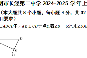 江苏省江阴市长泾第二中学2024-2025学年上学期九年级数学期中测试卷(含答案)