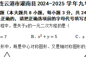 江苏省连云港市灌南县2024-2025学年九年级上学期11月期中数学试题(含答案)