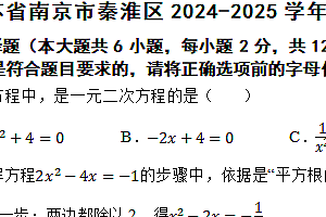 江苏省南京市秦淮区2024-2025学年九年级上学期数学期中试卷(含答案)