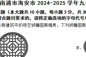 江苏省南通市海安市2024-2025学年九年级上学期11月期中数学试题(含答案)