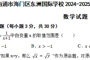 江苏省南通市海门区东洲国际学校2024-2025学年九年级上学期11月期中考试数学试题(含答案)