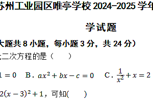 江苏省苏州市苏州工业园区唯亭学校2024-2025学年九年级上学期11月期中数学试题(含答案)