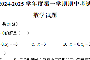 江苏省徐州市沛县第五中学2024-2025学年九年级上学期11月期中考试数学试题(含答案)