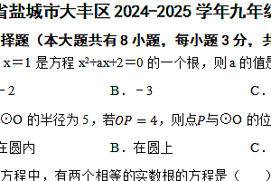 江苏省盐城市大丰区2024-2025学年九年级上学期11月期中考试数学试题(含答案)