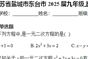 江苏省盐城市东台市2024-2025学年九年级上学期11月期中调研数学试卷(含解析)