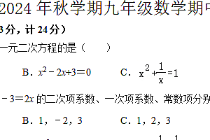 江苏省盐城市盐都区五校联考2024-2025学年九年级上学期11月期中数学试题(含答案)