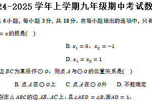 江苏省扬州市七校联考2024-2025学年上学期九年级期中考试数学试卷(含答案)