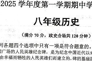 江苏省宿迁市宿城区新区教学共同体2024-2025学年八年级上学期11月期中历史试题(含答案)
