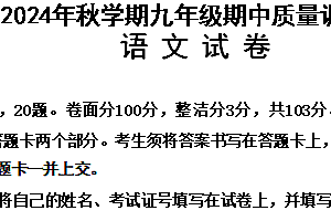 江苏省常州市金坛区2024-2025学年九年级上学期期中考试语文试题(含答案)