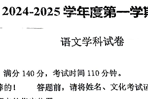 江苏省徐州市沛县第五中学2024-2025学年九年级上学期11月期中语文试题(含答案)