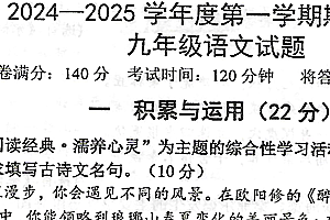 江苏省徐州市邳州市2024-2025学年九年级上学期11月期中语文试题(含答案)