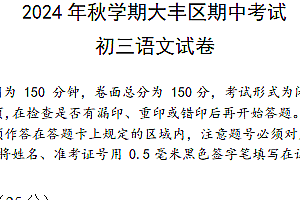 江苏省盐城市大丰区2024-2025学年九年级上学期11月期中语文试题(含答案)
