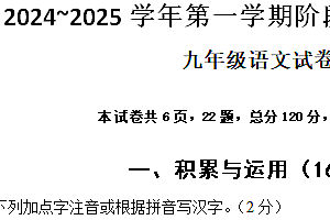 江苏省镇江市京口区京口中学、镇江市第十中学2024-2025学年九年级上学期11月期中联考语文试题(含答案)
