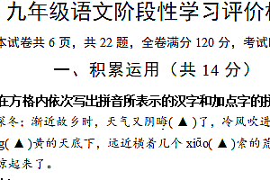 江苏省镇江市句容市2024-2025学年九年级上学期期中阶段性学习评价语文试题(含答案)