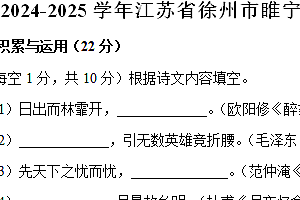 江苏省徐州市睢宁县2024-2025学年九年级上学期期中考试语文试卷(含解析)