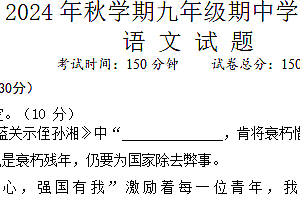 江苏省盐城市阜宁县2024-2025学年九年级上学期11月期中联考语文试题(含答案)