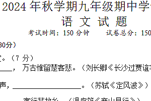 江苏省盐城市盐城经济技术开发区校联考2024-2025学年九年级上学期11月期中语文试题(含答案)