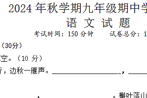 江苏省盐城市盐都区五校2024-2025学年九年级上学期11月期中联考语文试题(含答案)
