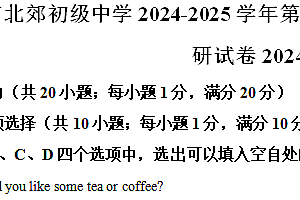 江苏省常州市北郊初级中学2024-2025学年上学期九年级英语期中质量调研试卷(含解析)