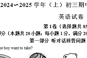 江苏省南通市通州区2024—2025学年九年级上学期英语期中学业水平质量监测试卷(含解析)