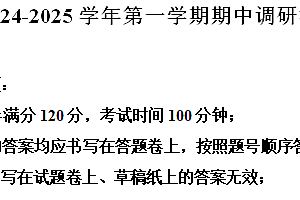 江苏省苏州市工业园区星澄学校2024-2025学年九年级上学期11月期中考试英语试题(含解析)