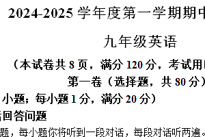 江苏省宿迁市宿城区2024-2025学年九年级上学期期中英语试题(含答案)