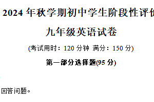江苏省泰州市兴化市2024-2025学年九年级上学期11月期中考试英语试题(含答案+听力音频)