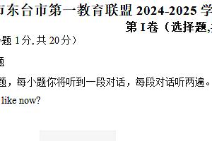 江苏省盐城市东台市第一教育联盟2024-2025学年九年级上学期11月期中英语试题(含答案+听力音频)