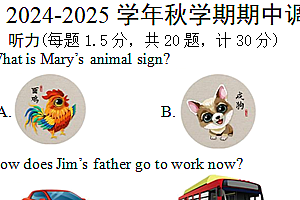 江苏省盐城市东台市联考2024-2025学年九年级上学期11月期中考试英语试题(含答案+听力音频)