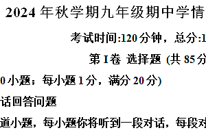 江苏省盐城市阜宁县2024-2025学年九年级上学期期中学情调研英语试题(含解析)
