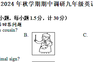 江苏省盐城市阜宁县联考2024-2025学年九年级上学期11月期中考试英语试题(含答案+听力音频)