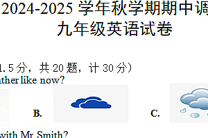 江苏省盐城市盐城经济技术开发区联考2024-2025学年九年级上学期11月期中考试英语试题(含答案+听力音频)