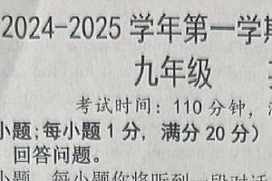 江苏省扬州市仪征市2024-2025学年九年级上学期11月期中考试英语试题(含答案)