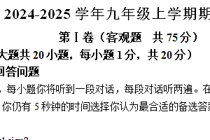 江苏省镇江市丹阳市第八中学2024-2025学年九年级上学期期中测试英语试卷(含解析)