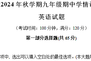 江苏省泰州市泰兴市2024-2025学年九年级上学期英语期中试卷(含解析)