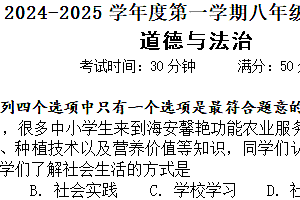 江苏省南通市海安市十三校2024-2025学年八年级上学期期中道德与法治试卷(含答案)