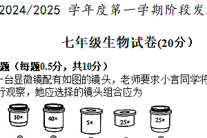江苏省盐城市盐都区第一共同体2024-2025学年七年级上学期11月期中考试生物学试卷(含答案)