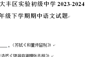 江苏省盐城市大丰区实验初级中学2023-2024学年八年级下学期期中语文试题（含解析）