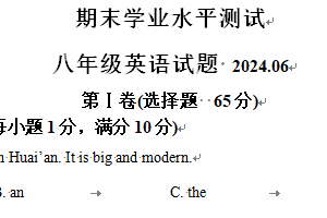 江苏省淮安市金湖县2023-2024学年八年级下学期期末学业水平测试英语试题（含解析）