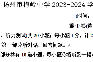 扬州市梅岭中学2023-2024学年第二学期八年级期末英语试题（含解析）