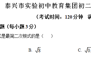 江苏省泰州市泰兴市实验初中教育集团泰师分校2023-2024学年八年级下学期6月月考数学试题（含解析）