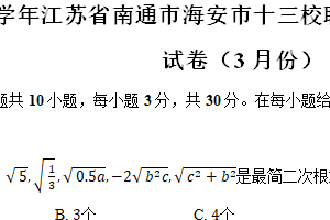 江苏省南通市海安市十三校联考2023-2024学年八年级（下）月考数学试卷（3月份）（含解析）
