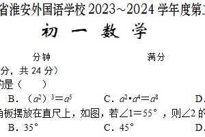 江苏省淮安市外国语学校2023-2024学年七年级下学期期末考试数学试题（含答案）