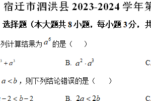宿迁市泗洪县2023-2024学年第二学期七年级期末数学试题（含解析）