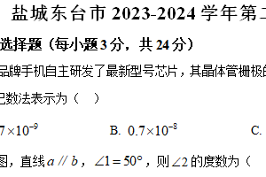 盐城东台市2023-2024学年第二学期七年级期末数学试题（含解析）