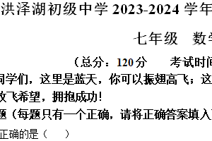 江苏省淮安市洪泽区洪泽湖初级中学2023-2024学年七年级下学期期中数学试题（含解析）