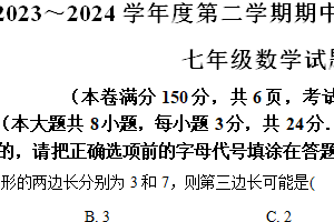 江苏省连云港市灌南县2023-2024学年七年级下学期期中数学试题（含解析）