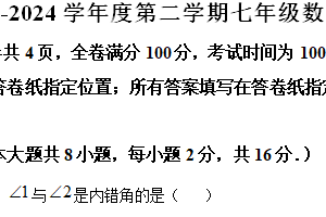江苏省南京市玄武区南京玄武外国语学校2023-2024学年七年级下学期期中数学试题（含解析）