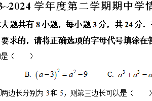 江苏省宿迁市沭阳县2023-2024学年七年级下学期期中数学试题（含解析）