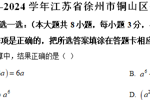 江苏省徐州市铜山区2023-2024学年七年级下学期期中数学试题（含解析）